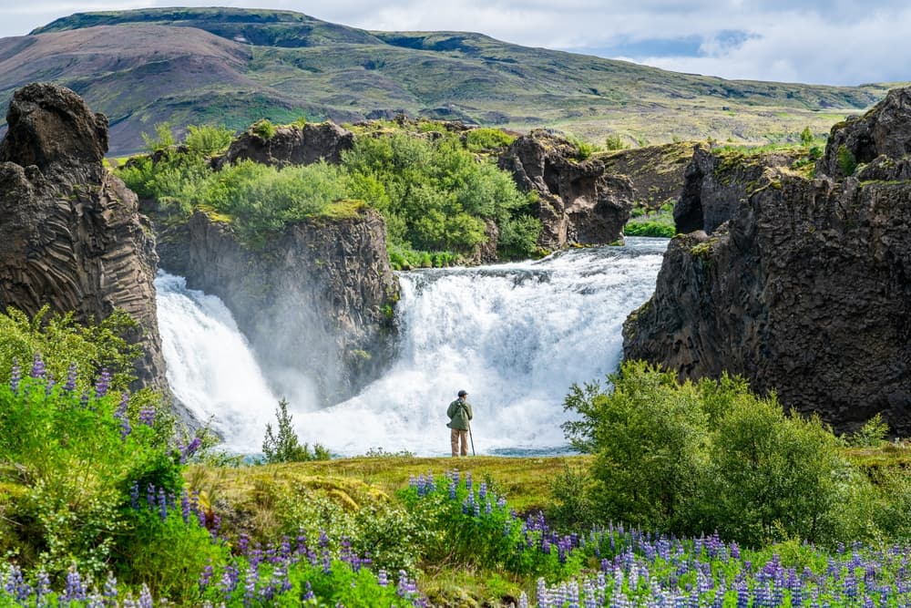 Avoid the Crowds in Iceland: Discover Hidden Gems with Blue Rental Car
