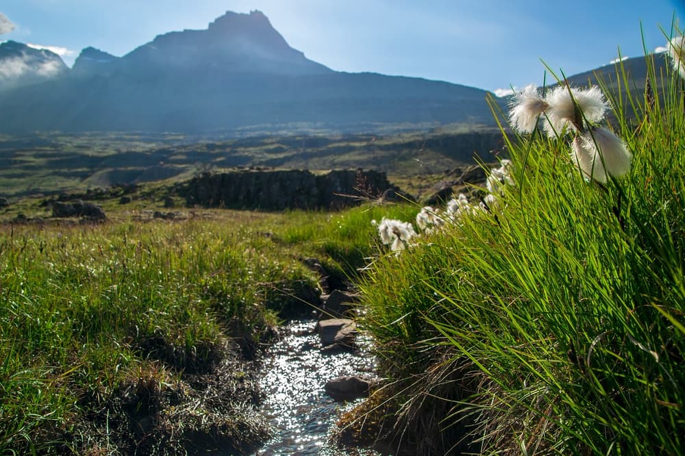 What to do in Iceland in the spring of 2019?