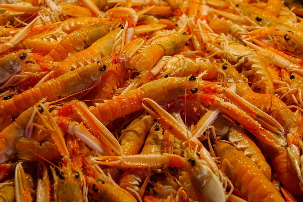 9 Traditional Icelandic Foods That You Need to Try