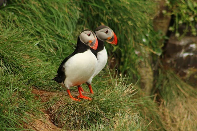Iceland in Spring: A Month-by-Month Travel Guide