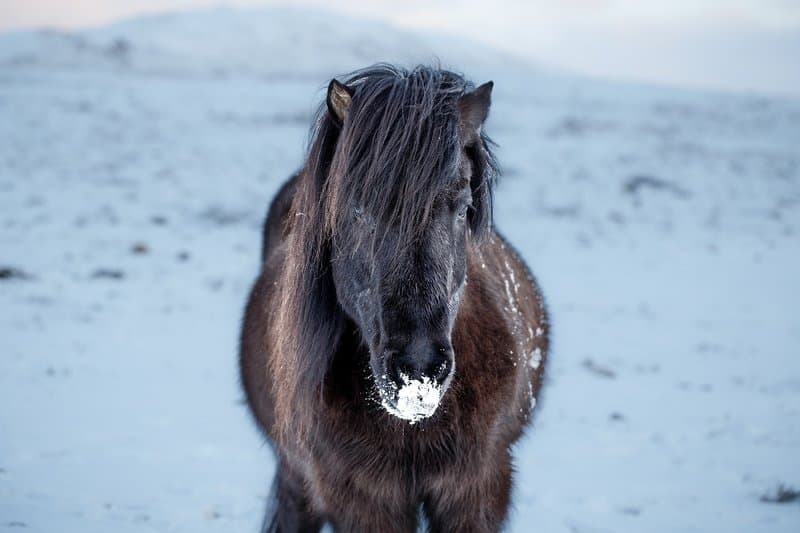 Tips for driving in Iceland in November