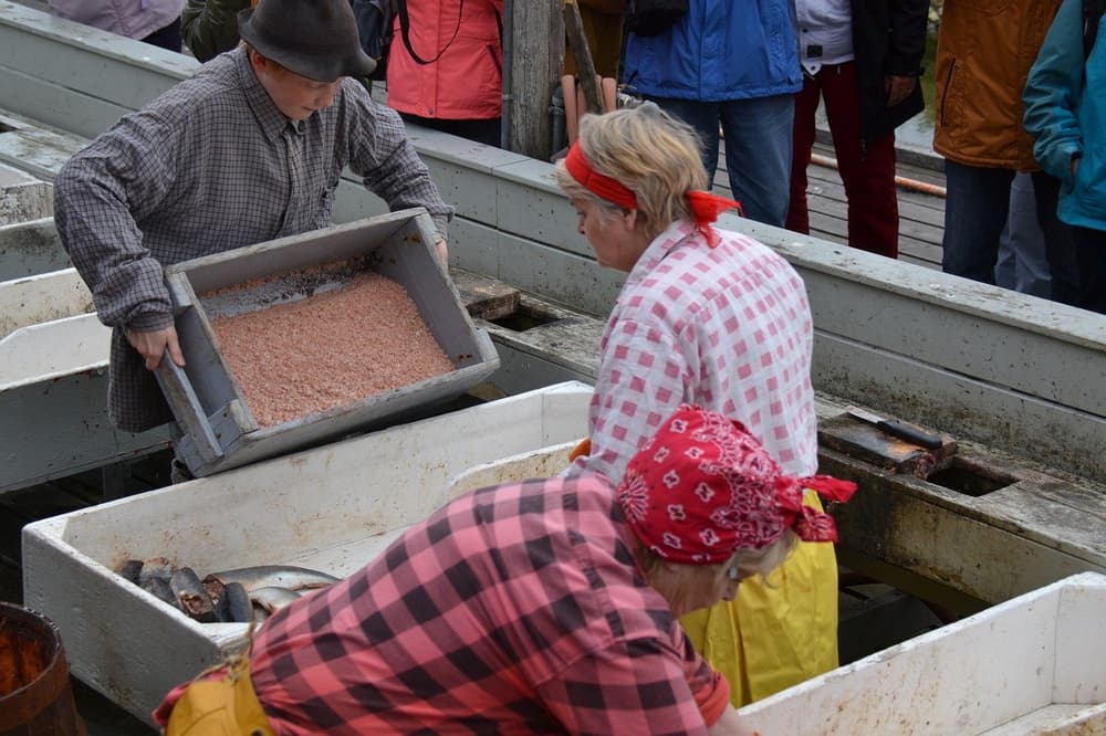 What you need to know about Iceland and herring