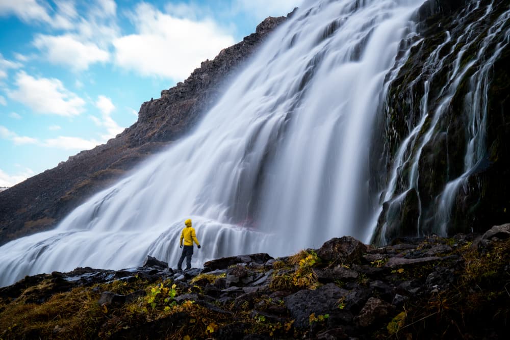 Top Things to Do in the Westfjords by Rental Car in Iceland