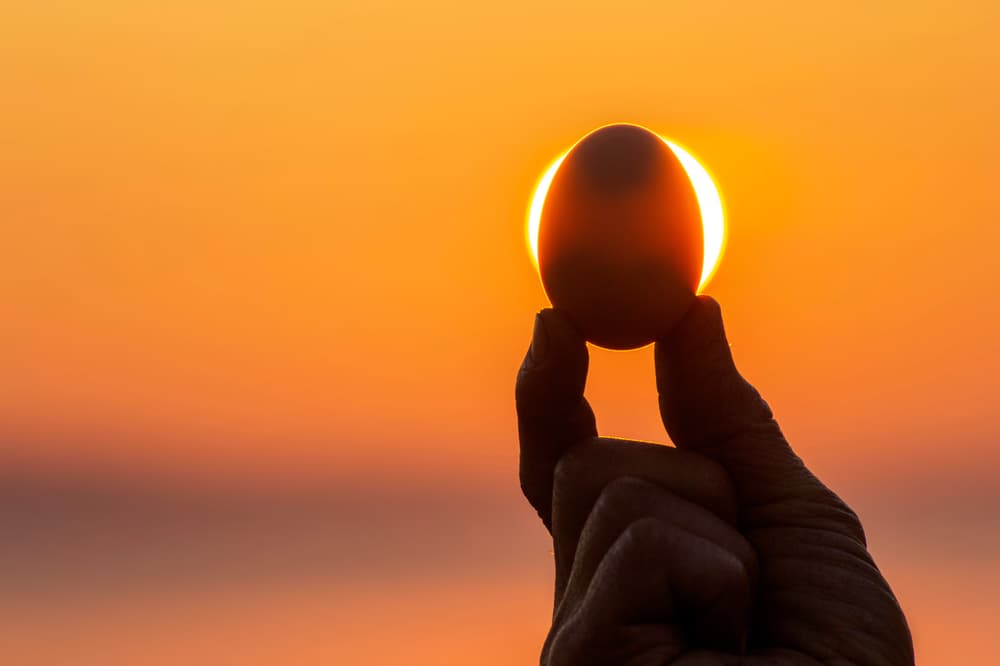 Holding an egg with the sun in the orange background.