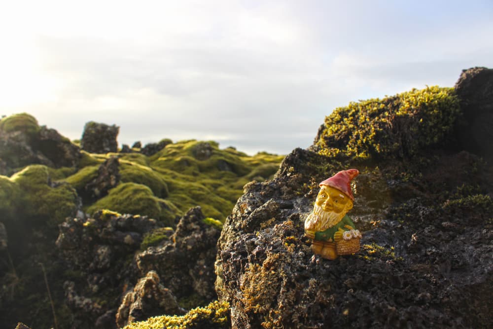 Elves in a old lava field in Iceland.