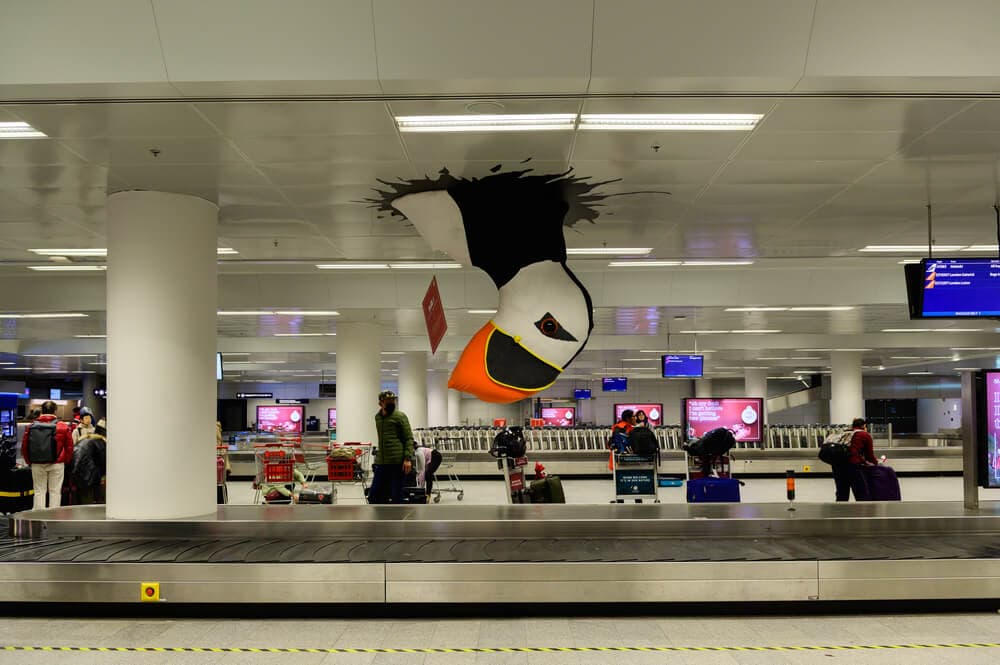 Macareux à l'aéroport de Keflavik à Reykjavik.