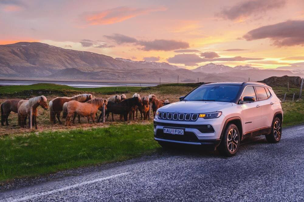 Iceland midnight sun. Car parked in front of Icelandic horses in the midnight sun.