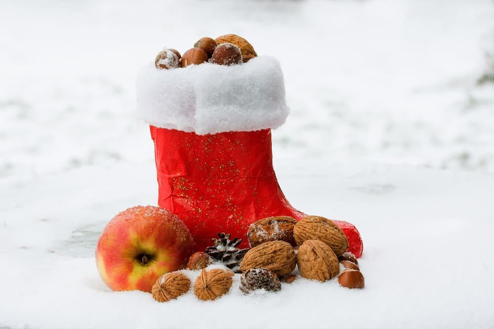 A snowy Nicholas boot treat. Red Nicholas boot filled with nuts stands in snow beside an apple