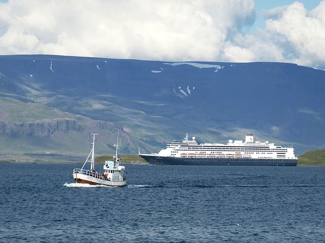 Get on a boat in Reykjavík to go fishing or whale watching