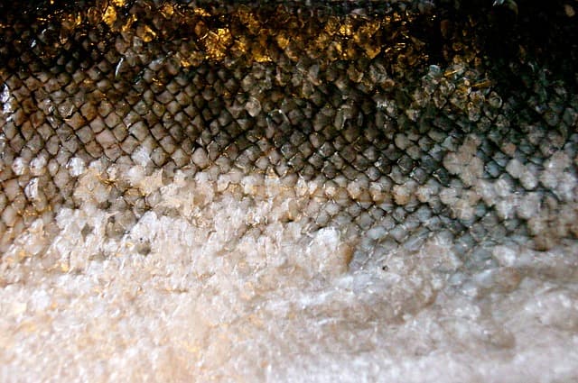 Fish skin shoes
