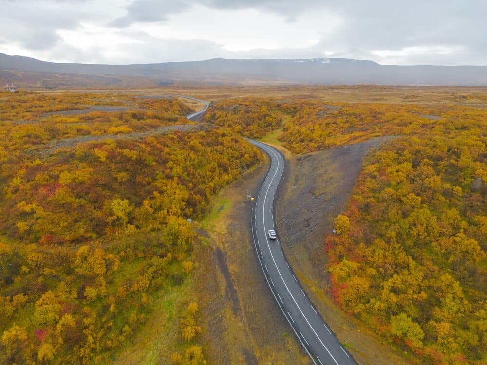 Thingvellir National Park road. Iceland road scenery in autumn