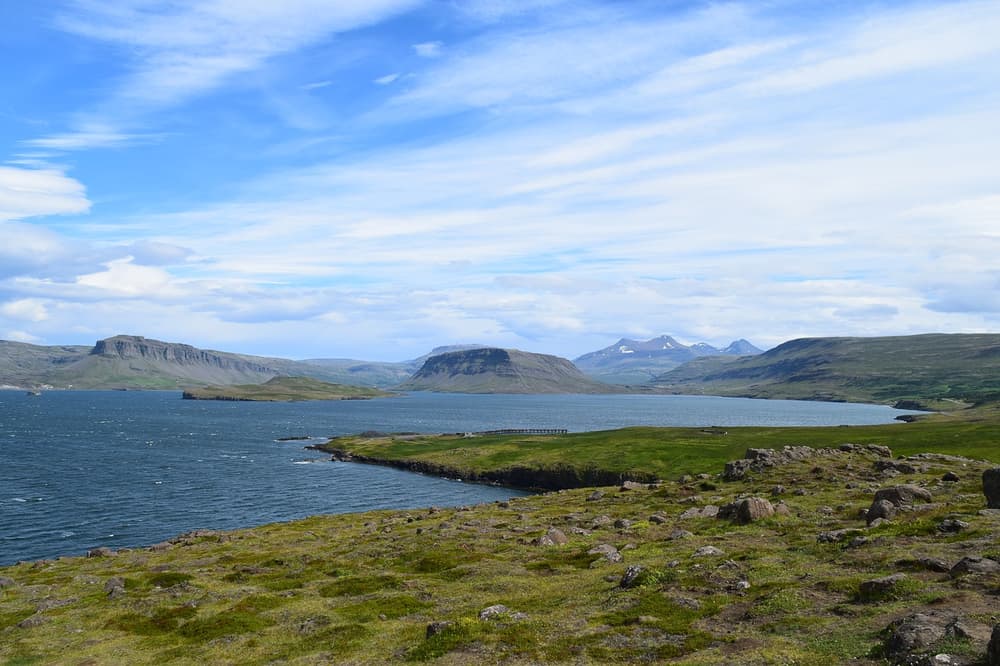 View across a quiet fjord. Calm fjord waters bordered by grassy headlands and distant snow capped mountains