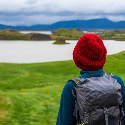 Biting midges in Iceland: how to avoid bug bites on your road trip