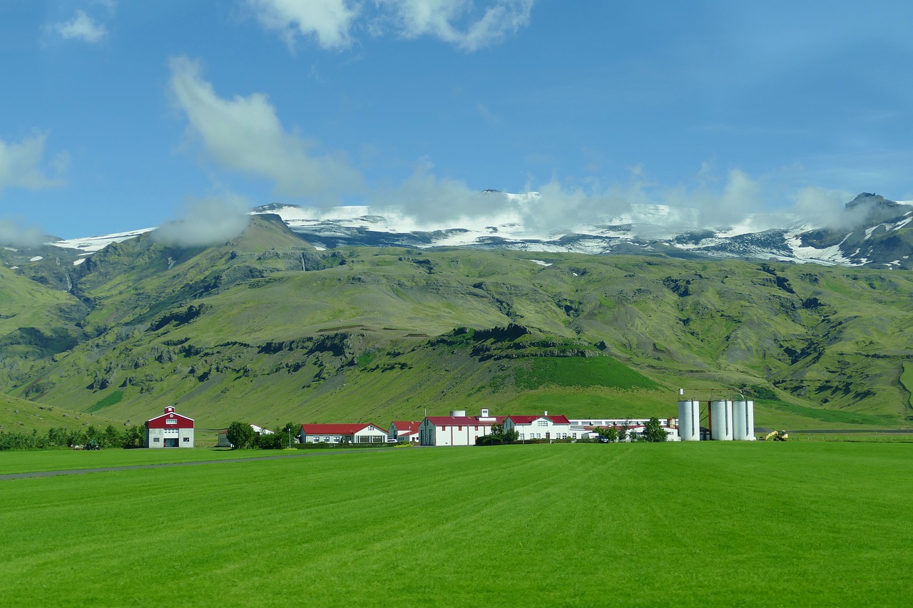 farm in Iceland