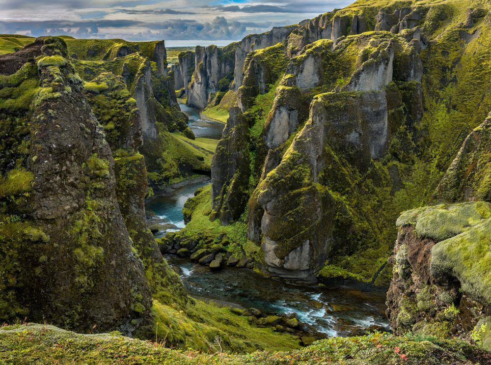 Green hills of Fjaðrárgljúfur canyon in summer.