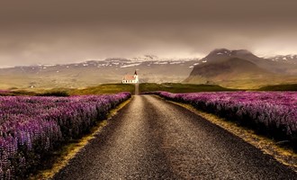 road in Iceland between flours