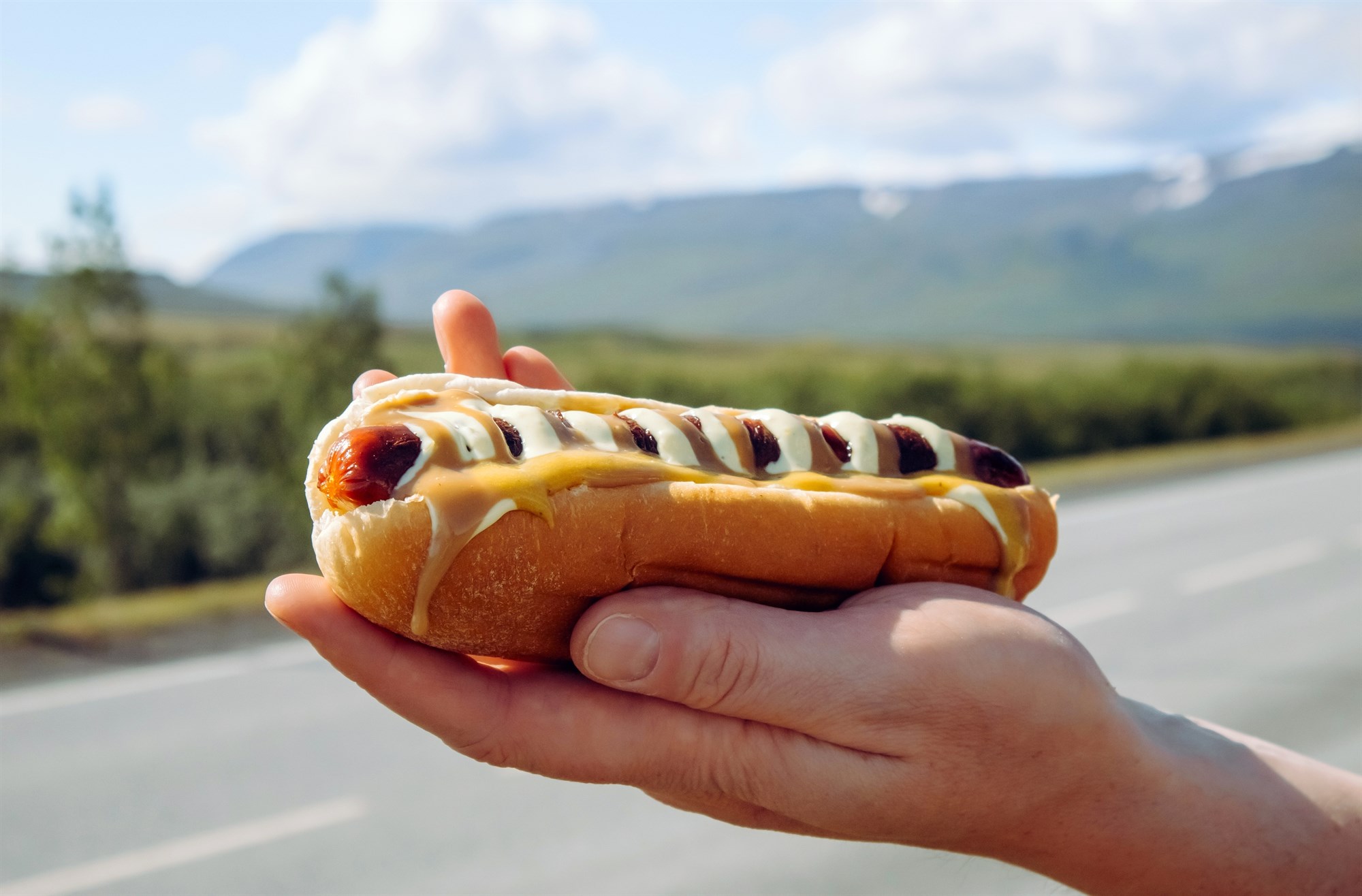 Icelandic lamb hot dog is the most popular fast food in Iceland.