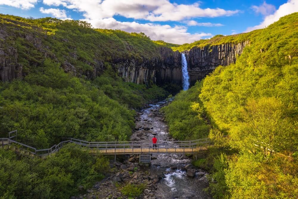 Wanderweg zum Wasserfall Svartifoss vom Besucherzentrum Skaftafell in Island